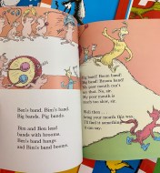 Dr. Seuss - Fox in Socks