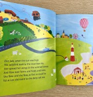 What the Ladybird Heard at the Seaside